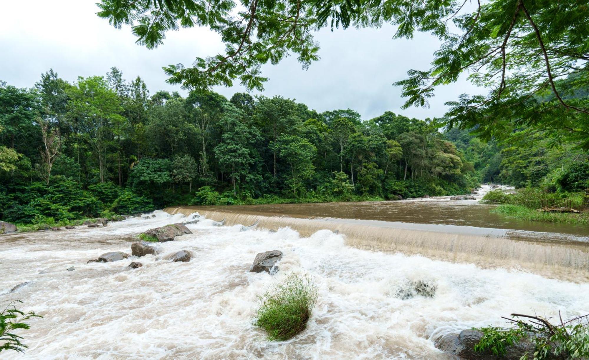 Rivulet Resort Munnar Eksteriør billede