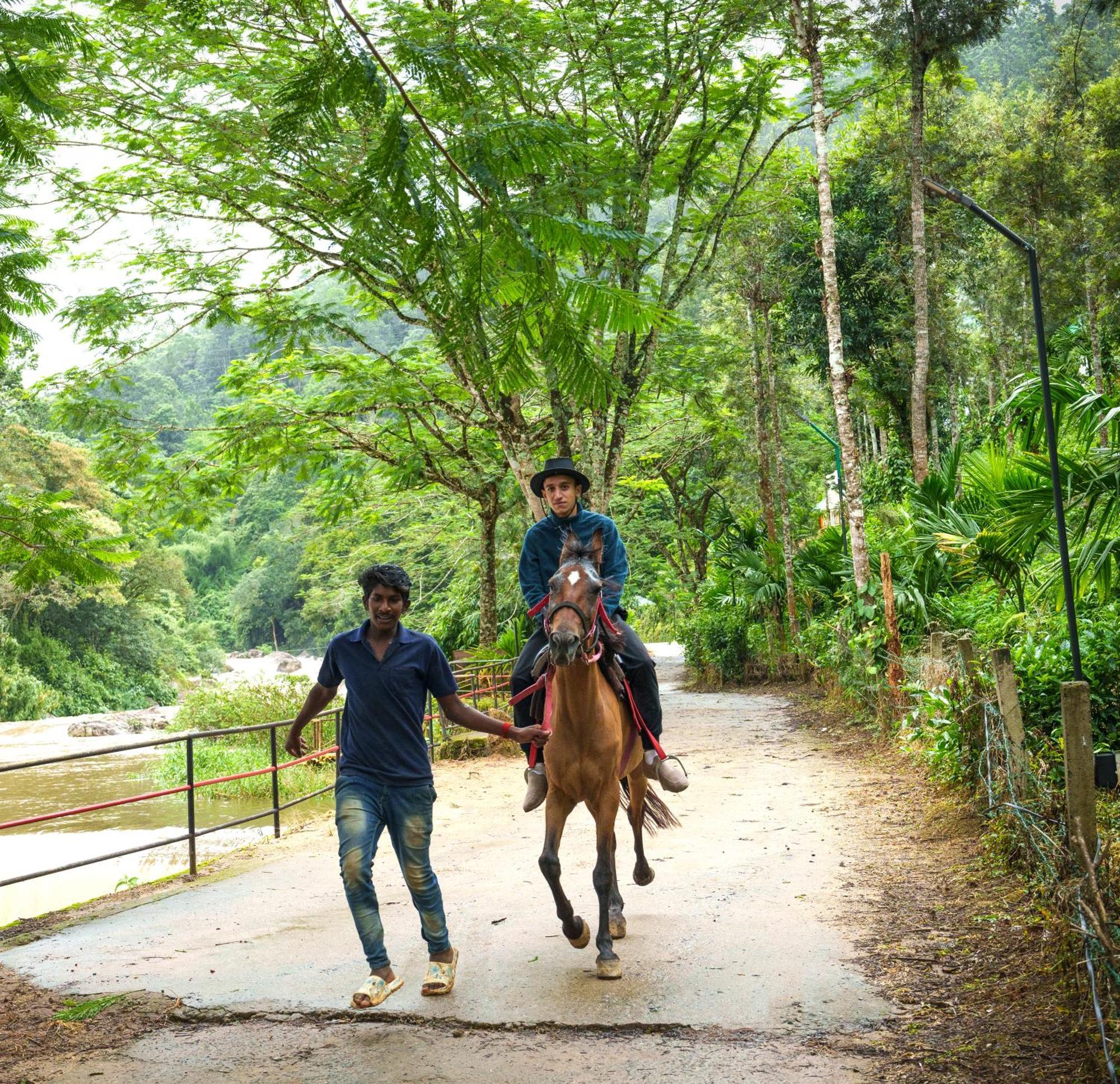 Rivulet Resort Munnar Eksteriør billede